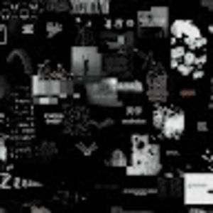 Meet your Posher, Sasha